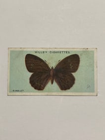 1927 Will's Cigarettes Card Butterfly Ringlet