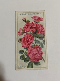 1912  Will's Cigarettes Card Roses Lady GAy