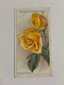 1912  Will's Cigarettes Card Roses Mabel Morse