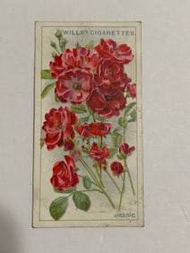 1912  Will's Cigarettes Card Roses Jessie