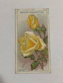 1912  Will's Cigarettes Card Roses Melody