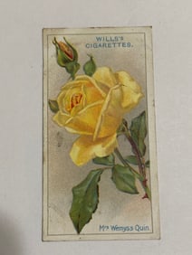 1912  Will's Cigarettes Card Roses Mrs Wemyss Quin