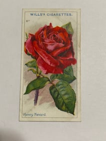 1912  Will's Cigarettes Card Roses Henry Nevard