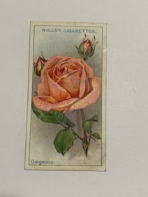 1912  Will's Cigarettes Card Roses Gorgeous