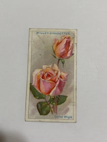 1912  Will's Cigarettes Card Roses Emma Wright