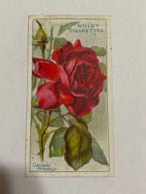 1912  Will's Cigarettes Card Roses General McCarthur