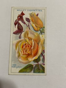 1912  Will's Cigarettes Card Roses Lady Hillington