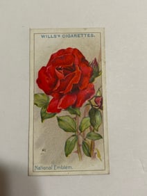 1912  Will's Cigarettes Card Roses National Emblem