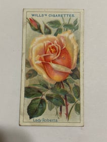 1912  Will's Cigarettes Card Roses Lady Roberts