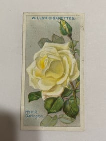 1912  Will's Cigarettes Card Roses Mrs HR Darlington