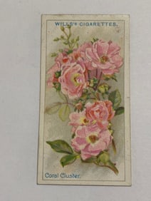 1912  Will's Cigarettes Card Roses Coral Cluster
