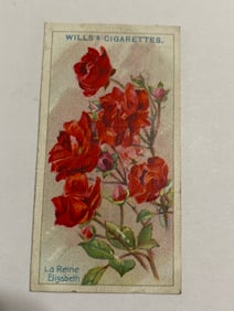 1912  Will's Cigarettes Card Roses La REine Elizabeth