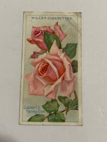 1912  Will's Cigarettes Card Roses Captain HArvey Cant