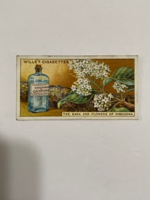 1924 Will's Cigarettes Card The BArk and Flowers of Cinchona