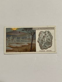 1924 Will's Cigarettes Card Pumice Stone