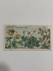 1924 Will's Cigarettes Card A Shamrock
