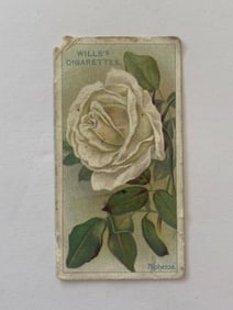 1912 Will's Cigarettes Card Roses Niphetos
