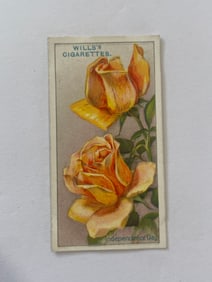 1912 Will's Cigarettes Card Roses Independence Day