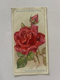 1912 Will's Cigarettes Card Roses Rochemur