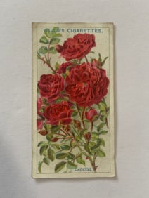 1912 Will's Cigarettes Card Roses Excelsa