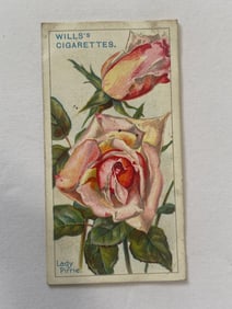 1912 Will's Cigarettes Card Roses Lady Pirr