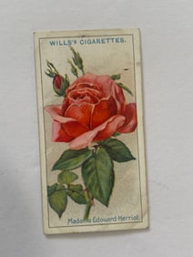 1912 Will's Cigarettes Card Roses Madame Edouard Merriot