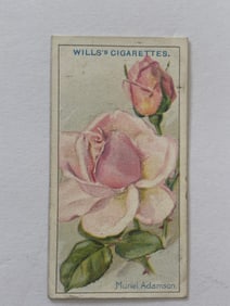 1912 Will's Cigarettes Card Roses Muriel Adams
