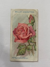 1912 Will's Cigarettes Card Roses Mrs Bertram Walker