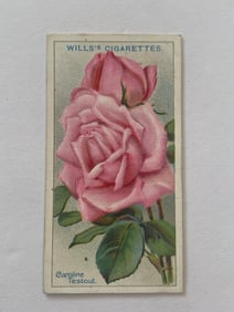 1912 Will's Cigarettes Card Roses Caroline Testout