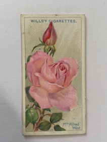 1912 Will's Cigarettes Card Roses Mrs Alfred West
