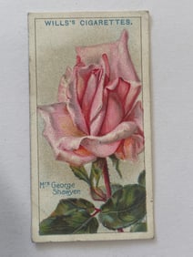 1912 Will's Cigarettes Card Roses Mrs George Shawyer