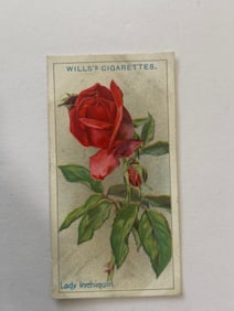 1912 Will's Cigarettes Card Roses Lady Inchiquin