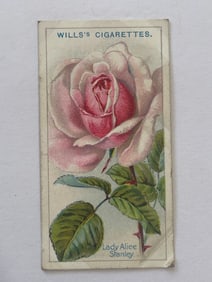 1912 Will's Cigarettes Card Roses Lady Alice Stanley