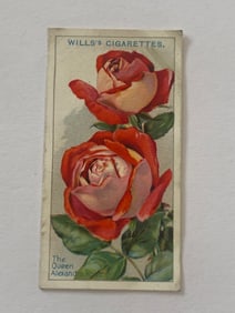 1912 Will's Cigarettes Card Roses The Queen Alexandria Rose