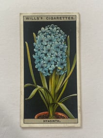 1925 Will's Cigarettes Card Flower Culture in Pots Hyacinth