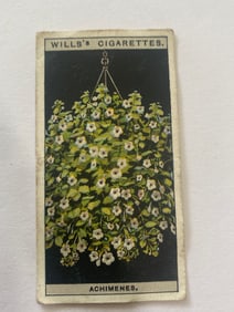 1925 Will's Cigarettes Card Flower Culture in Pots Achimenes