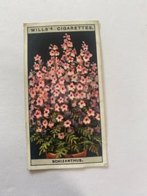 1925 Will's Cigarettes Card Flower Culture in Pots Schizanthus