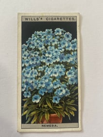 1925 Will's Cigarettes Card Flower Culture in Pots Nemesia
