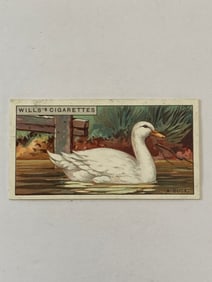 1926 Will's Cigarettes Card A Duck