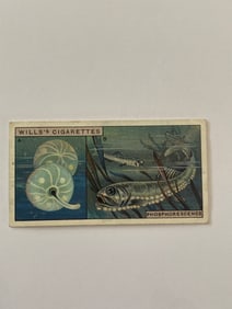 1926 Will's Cigarettes Card Phosphorescence