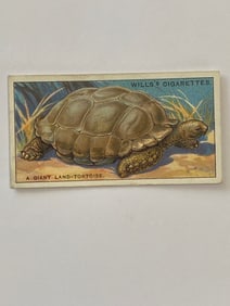 1926 Will's Cigarettes Card A  Giant Land Tortoise