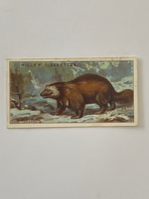 1926 Will's Cigarettes Card A Glutton