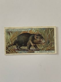 1926 Will's Cigarettes Card A Tamanian Devil