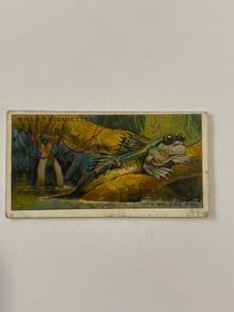 1926 Will's Cigarettes Card Walking Fish
