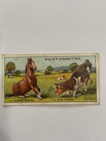 1926 Will's Cigarettes Card A Horse Rising