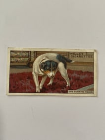 1926 Will's Cigarettes Card Dog Turning Around