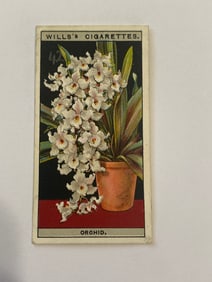 1925 Will's Cigarettes Card Flower Culture in Pots Orchid