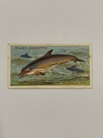 1928 Will's Cigarettes Card Wonders of The Sea Dolphins at Play