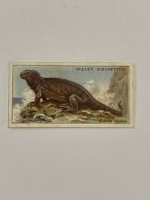 1928 Will's Cigarettes Card Wonders of The Sea Marine Iguana