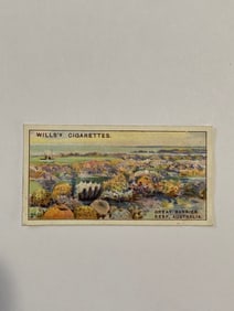 1928 Will's Cigarettes Card Wonders of The Sea Great Barrier Reef